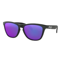 Oakley Frogskins Sunglasses Matte Black